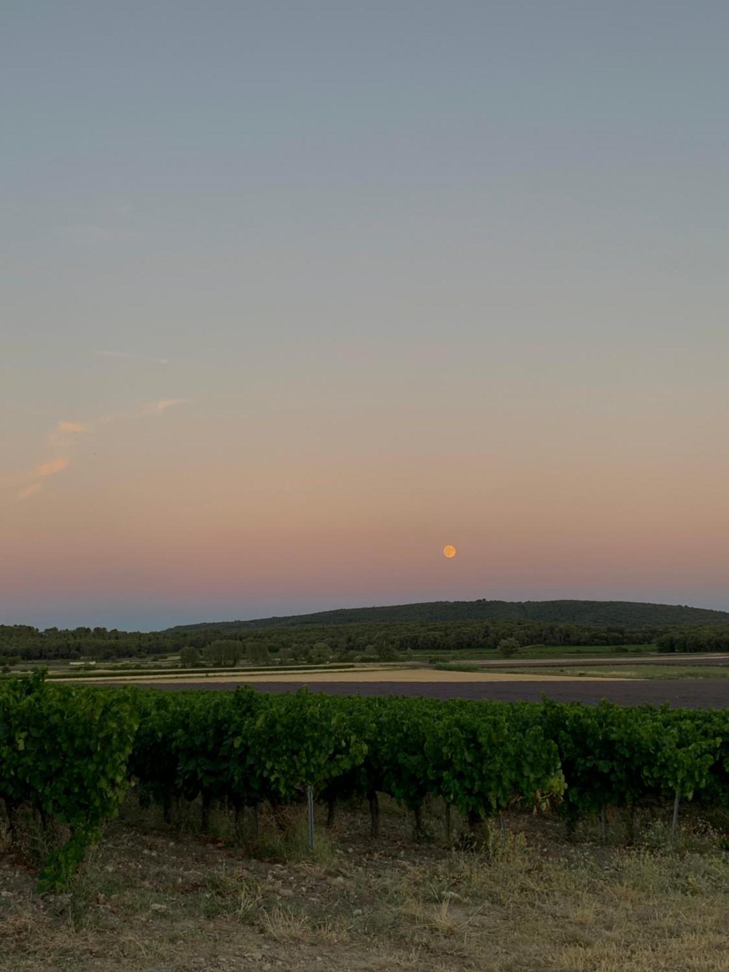 Domaine Du Commandeur Bed and Breakfast Mondragon Εξωτερικό φωτογραφία